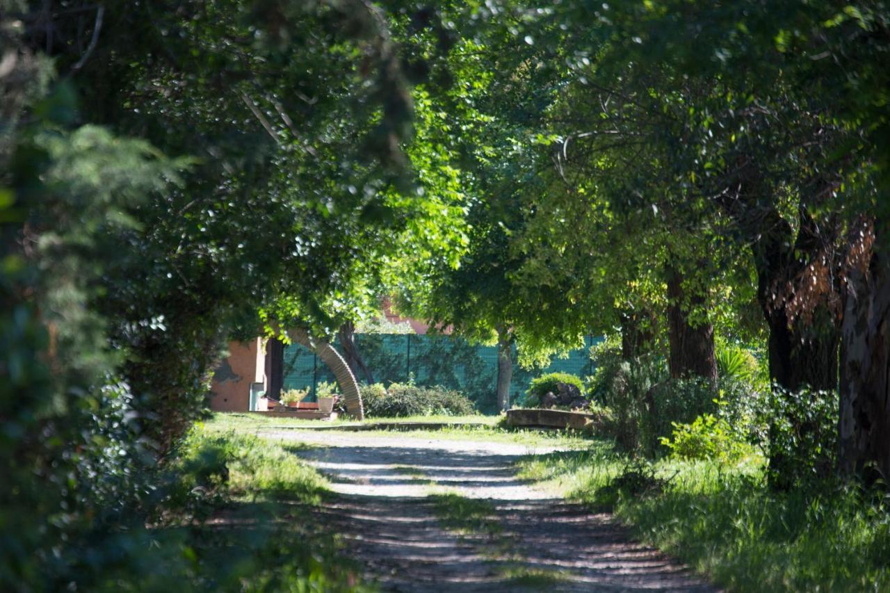 La Delle Rose Bed & Breakfast