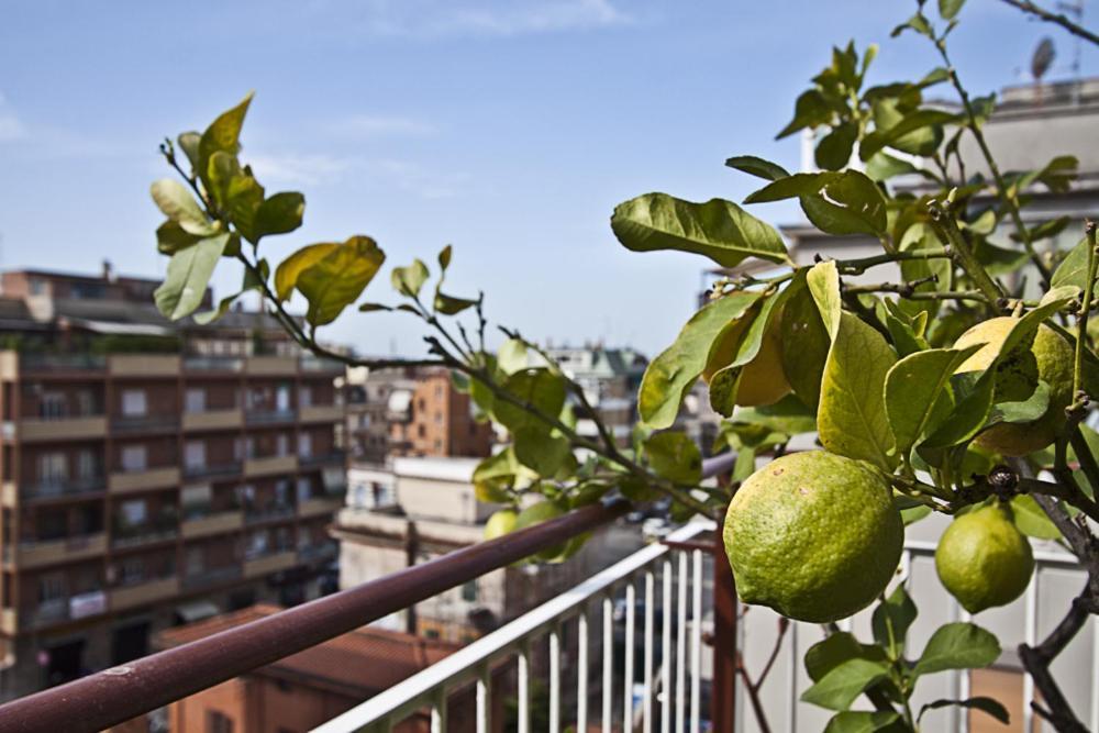 Splendidae Mundi * Roma