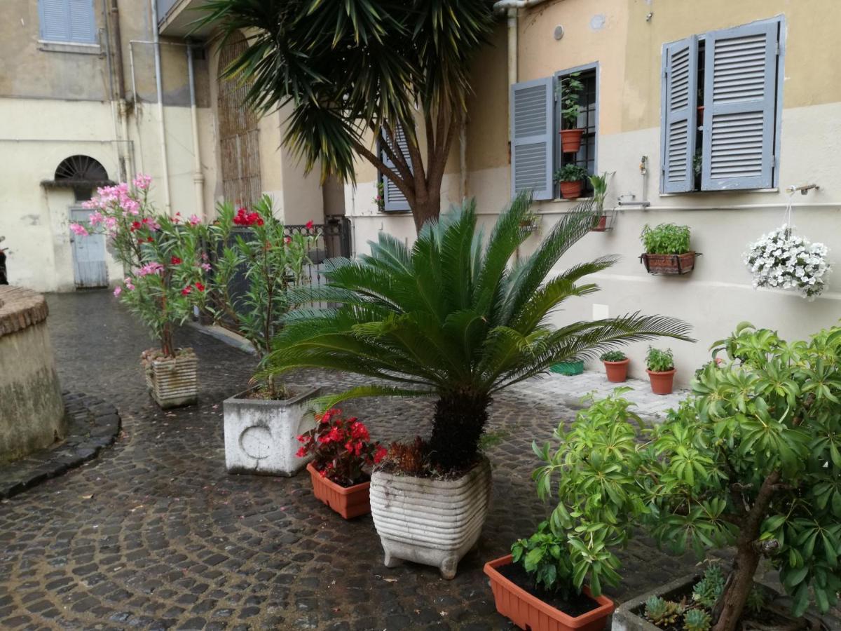Alloggio in famiglia Trastevere, What Else...