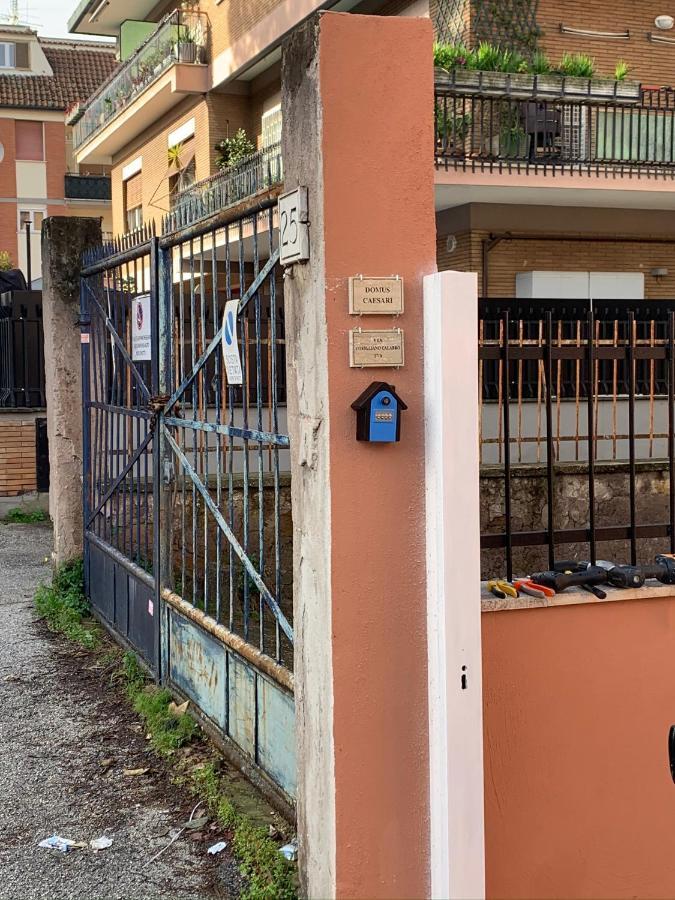 Domus Caesari Roma