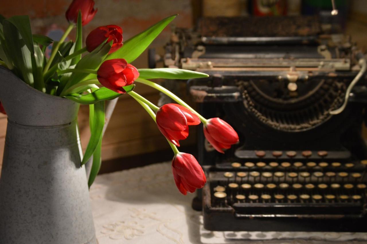 Apartment Lovely Writer *