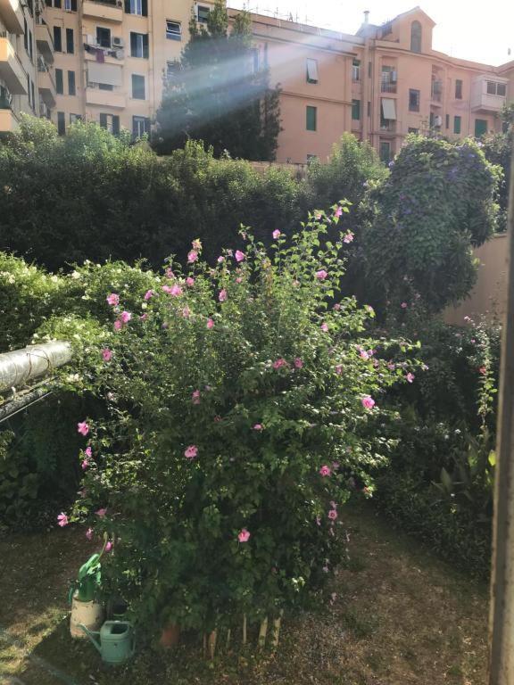 Cris - Close To Vatican - Centre&stadiumarea Apartment Rom