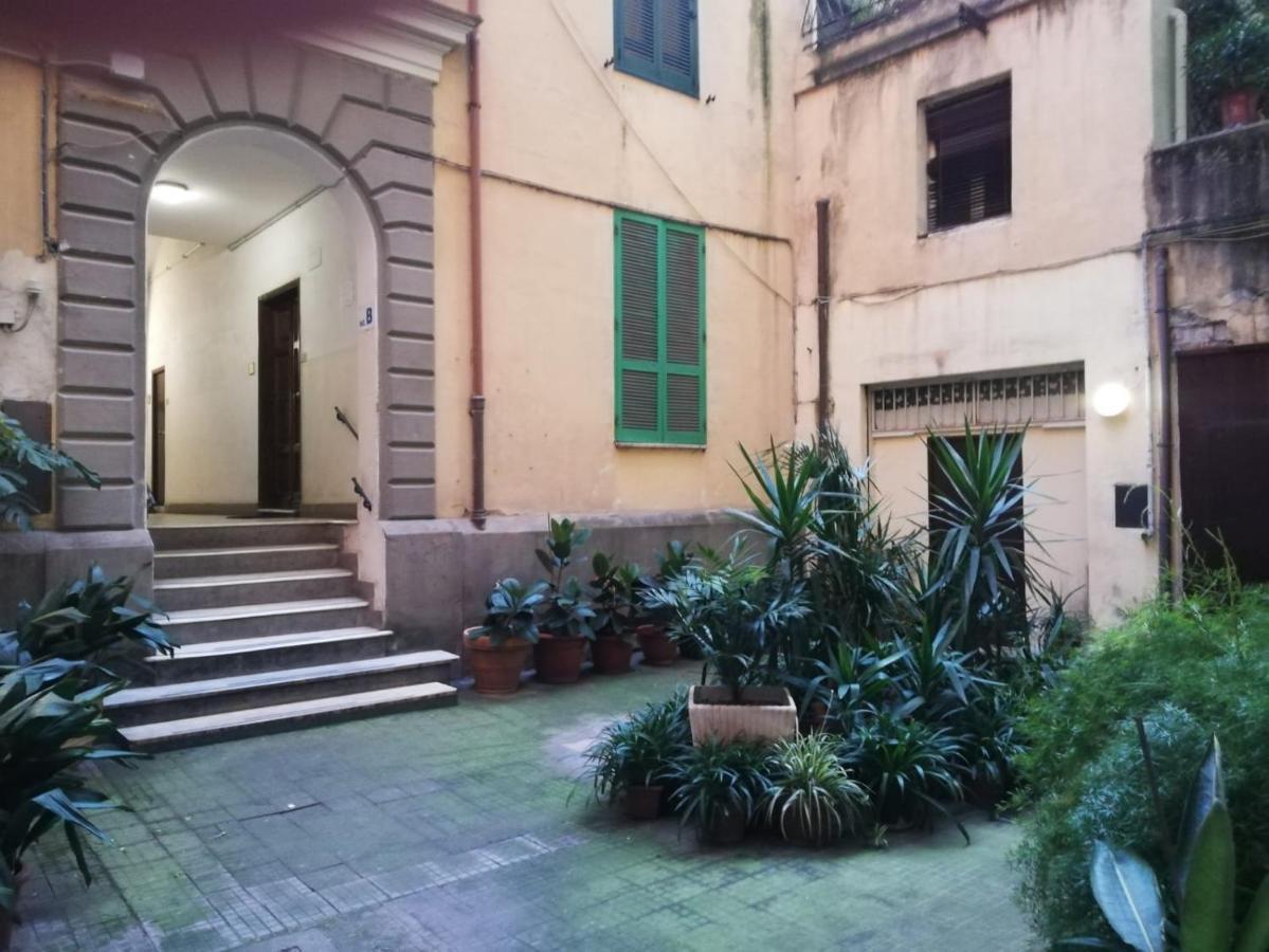 Napoleone's House *