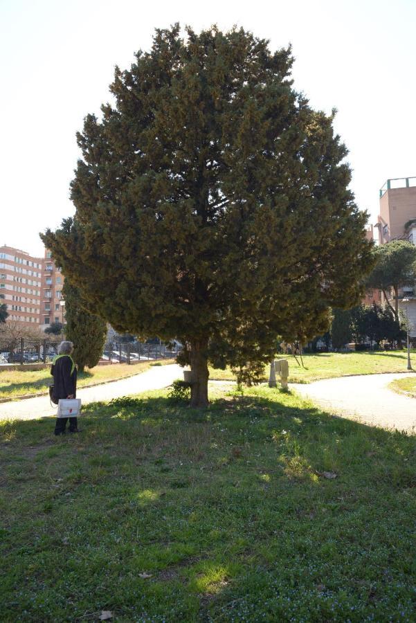 Brezza Marina Roma
