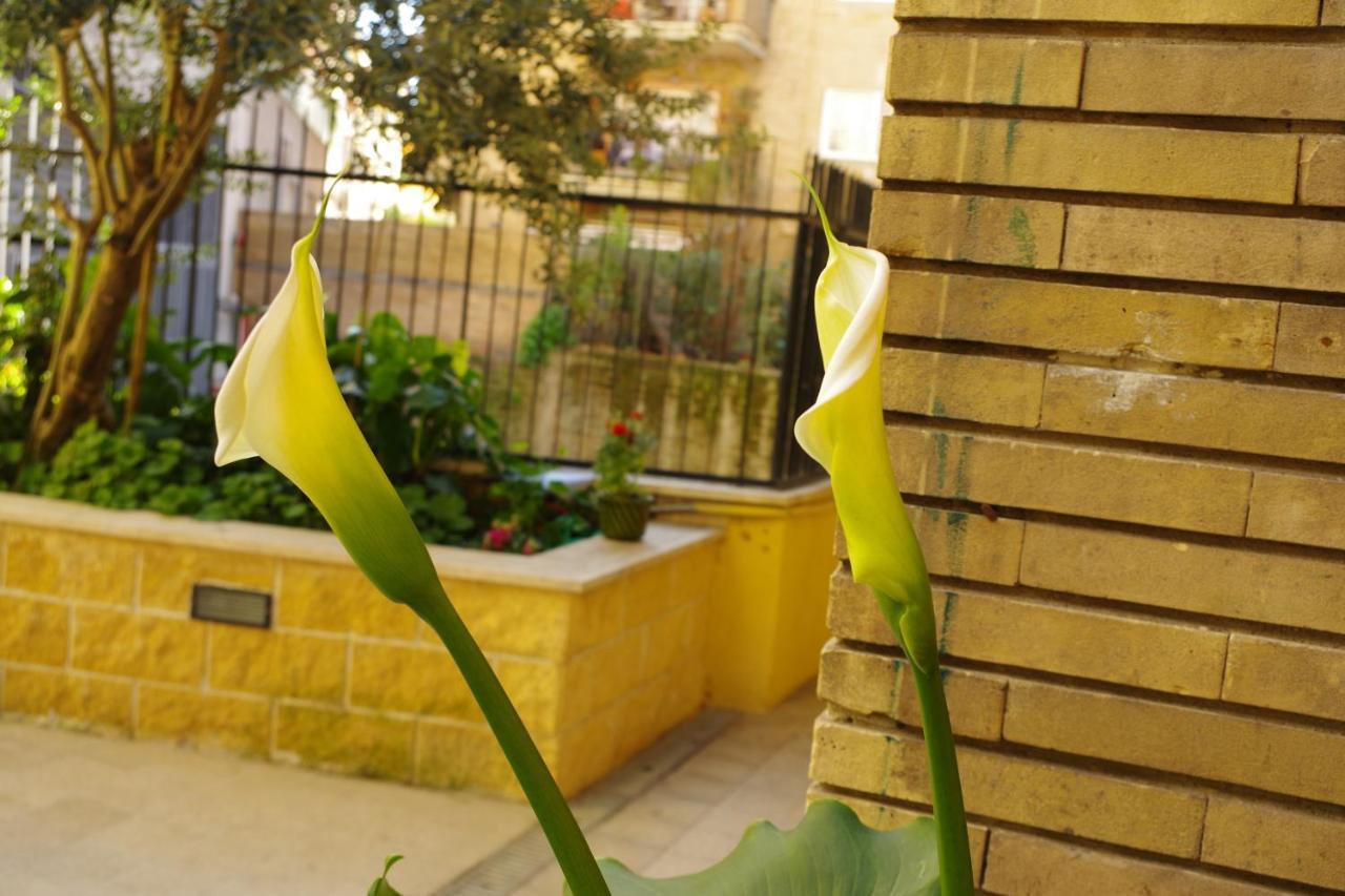 Il Gelsomino Apartment