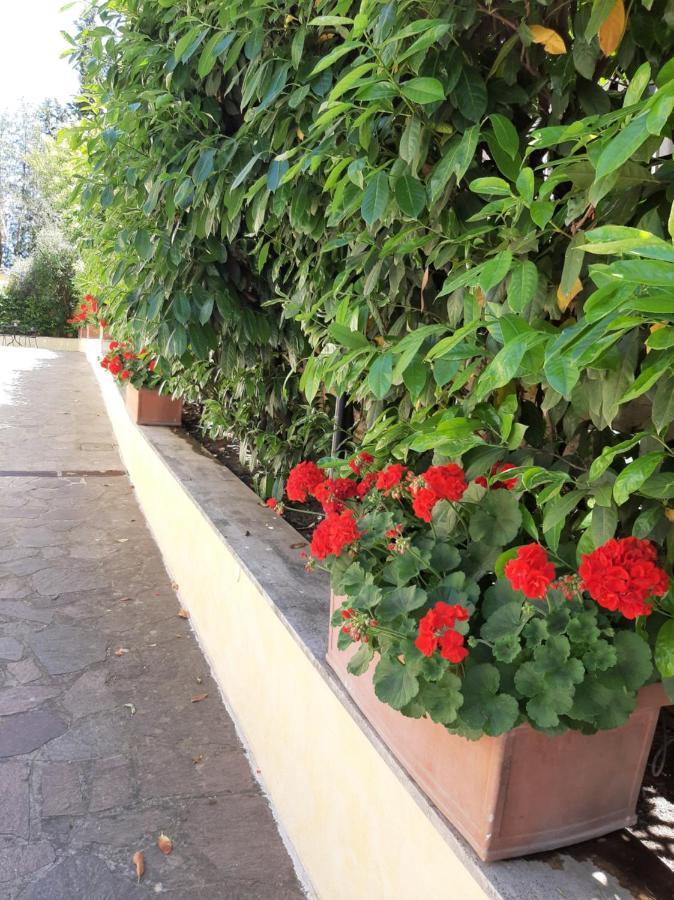 Orsini * Rome