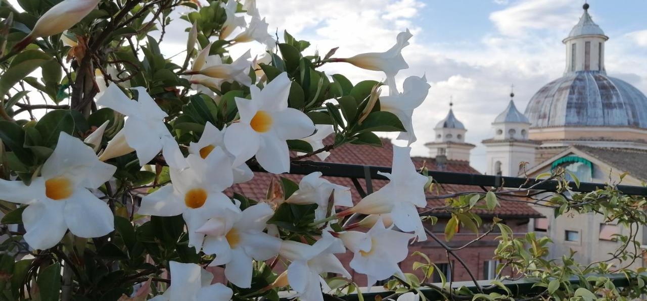 Favolosa Terrazza Nel Centro Di Appartamento *