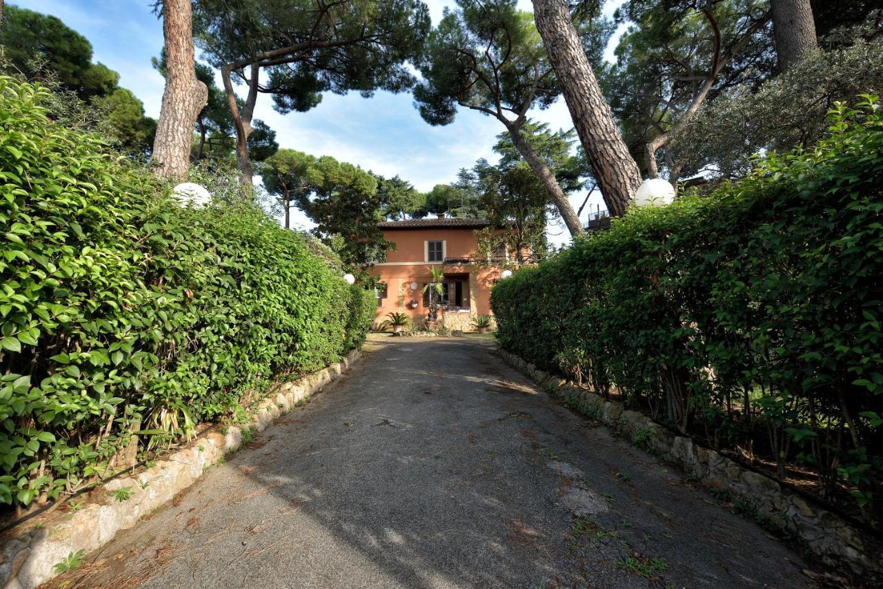 Comfort Gaia Tor Vergata Gjestgiverier Roma