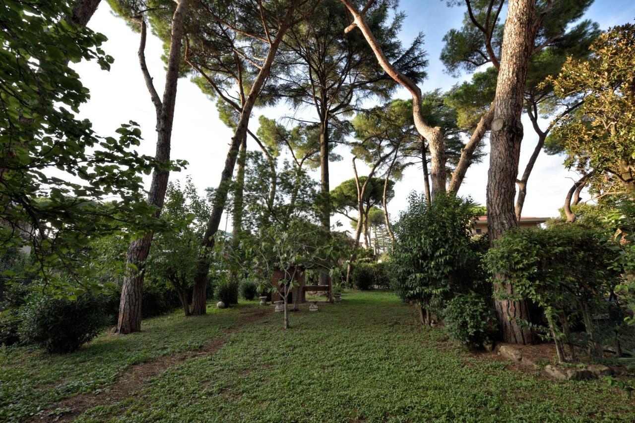 Gjestgiverier Comfort Gaia Tor Vergata Roma