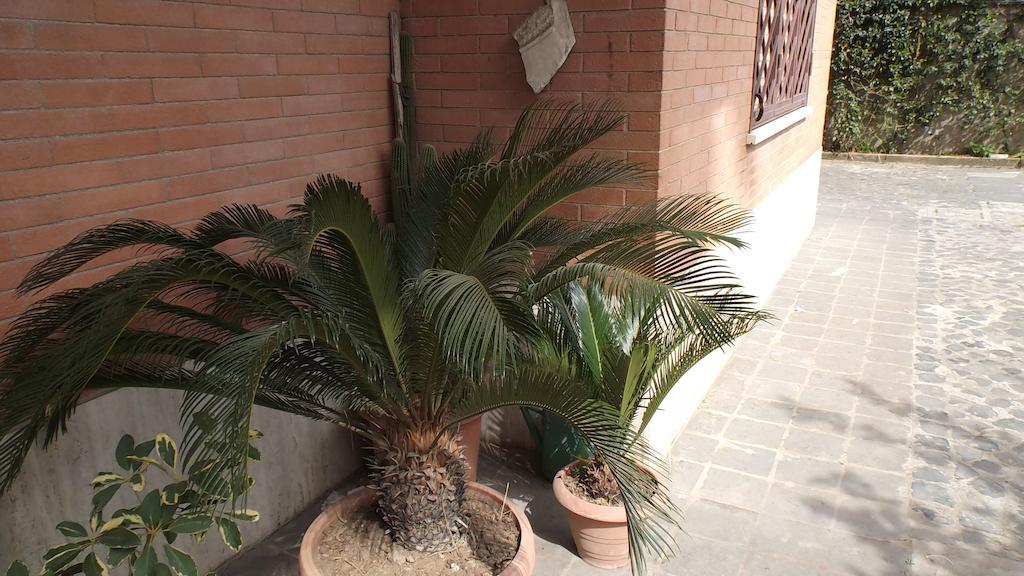 La Casa Di Ro Alojamento de Acomodação e Pequeno-almoço *