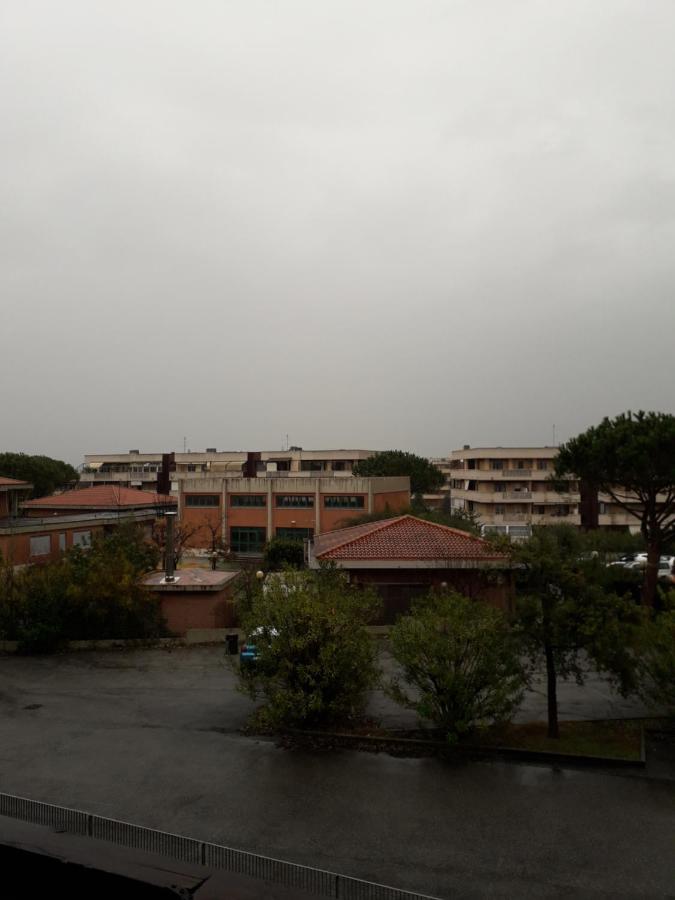 Il Brindisi Di C&c Giardino Di *