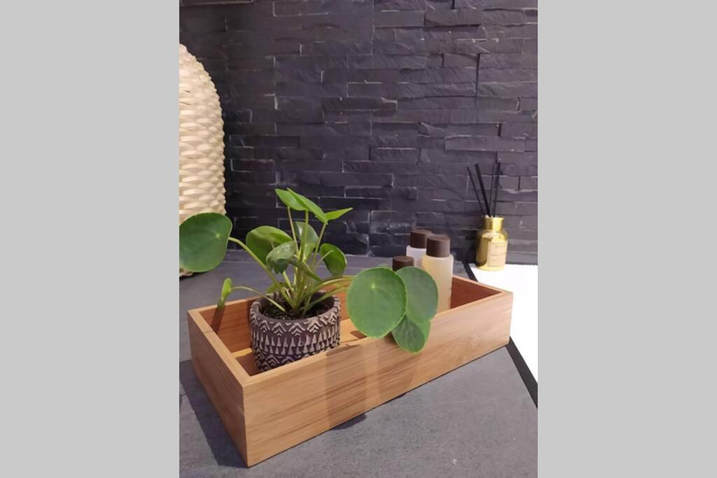 Elegante Open Space Con Vasca Idromassaggio A Trastevere * Roma