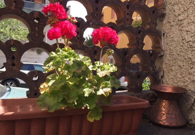 Bed and breakfast Relais Fiorelli