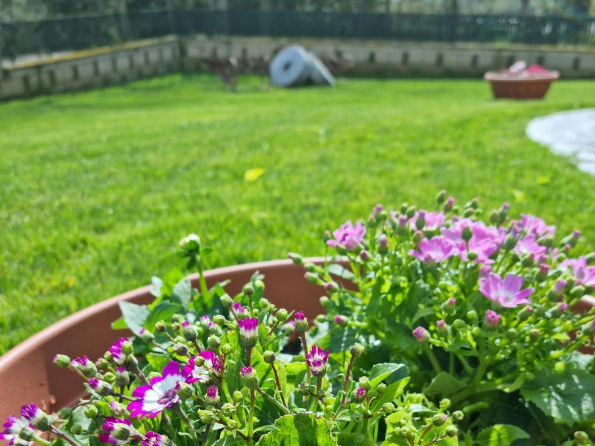 Bed & Breakfast Il Casale Nel Parco