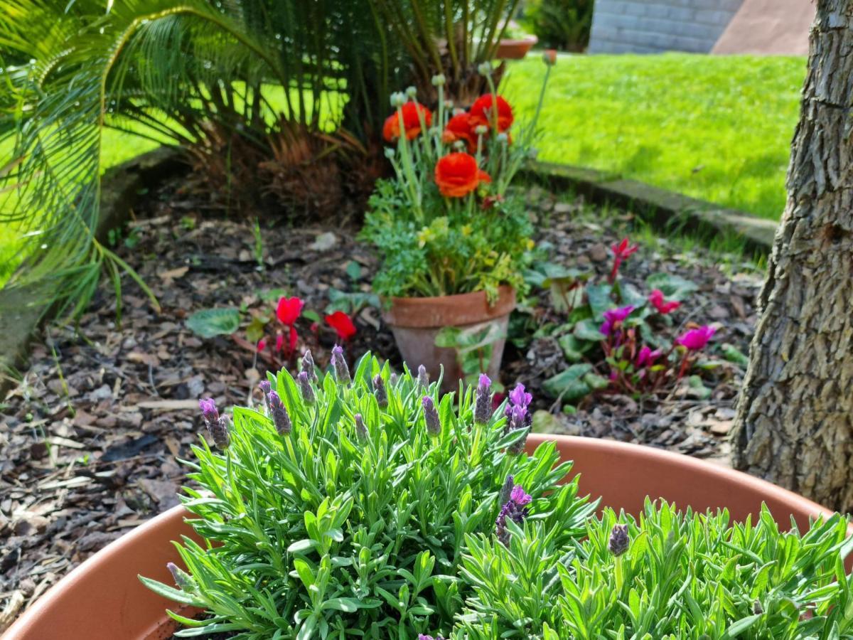 Bed & Breakfast Il Casale Nel Parco