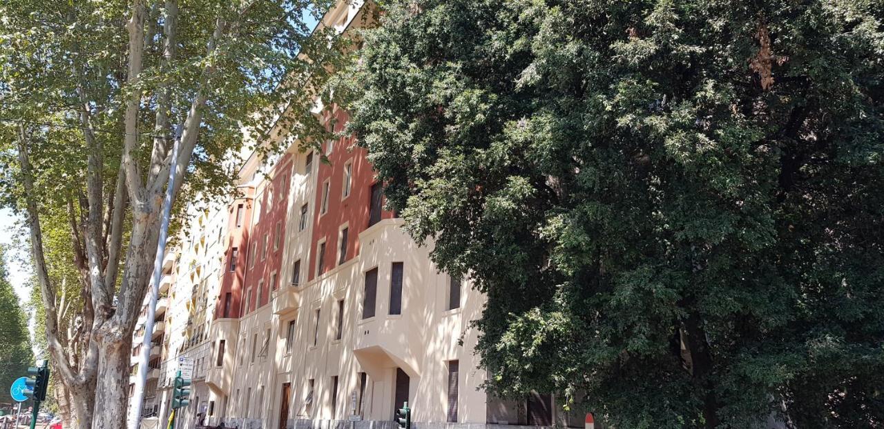 Ursa Major - Gioligio Luxury Rome