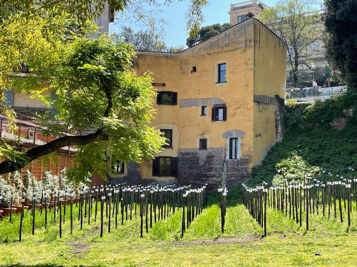 Il Mulino Di Trastevere - My Extra Apartment
