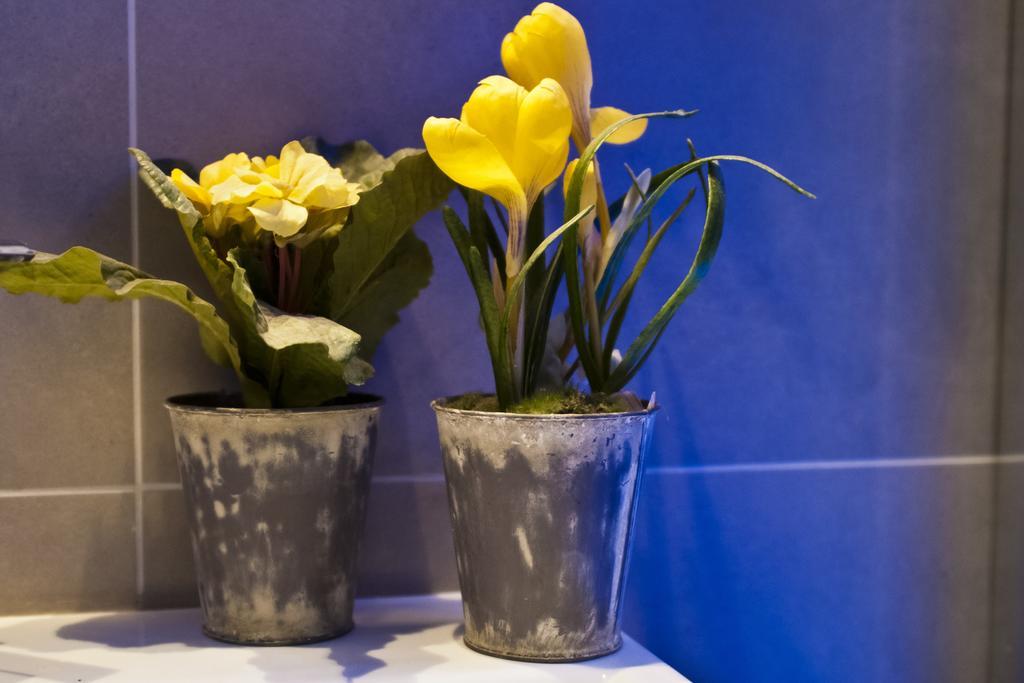 Domus Fontis Bed & Breakfast Roma