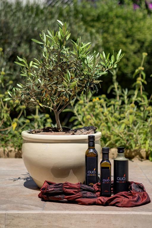 Appia Antica 5* Roma