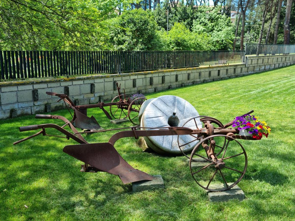 Il Casale Nel Parco Bed & Breakfast *