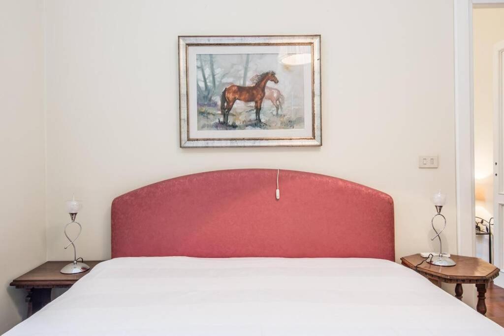 Vatican Large Comfortable Roma