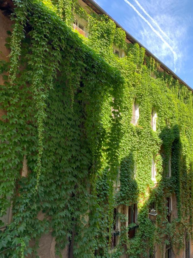 Navona Relais - Center Of Apartamento