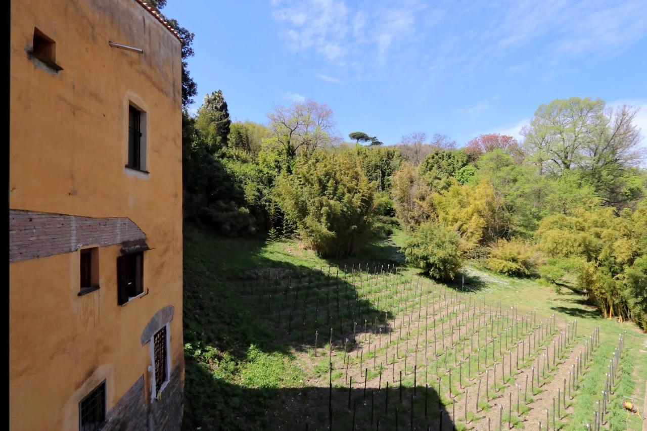 Il Mulino Di Trastevere - My Extra * Rome