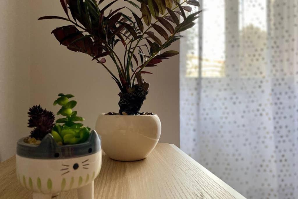 Modern -locazione Turistica- Apartment *