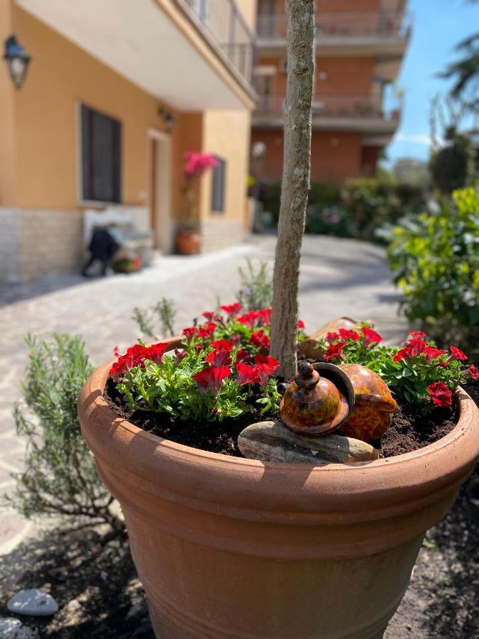 Olympic Bed and breakfast Roma