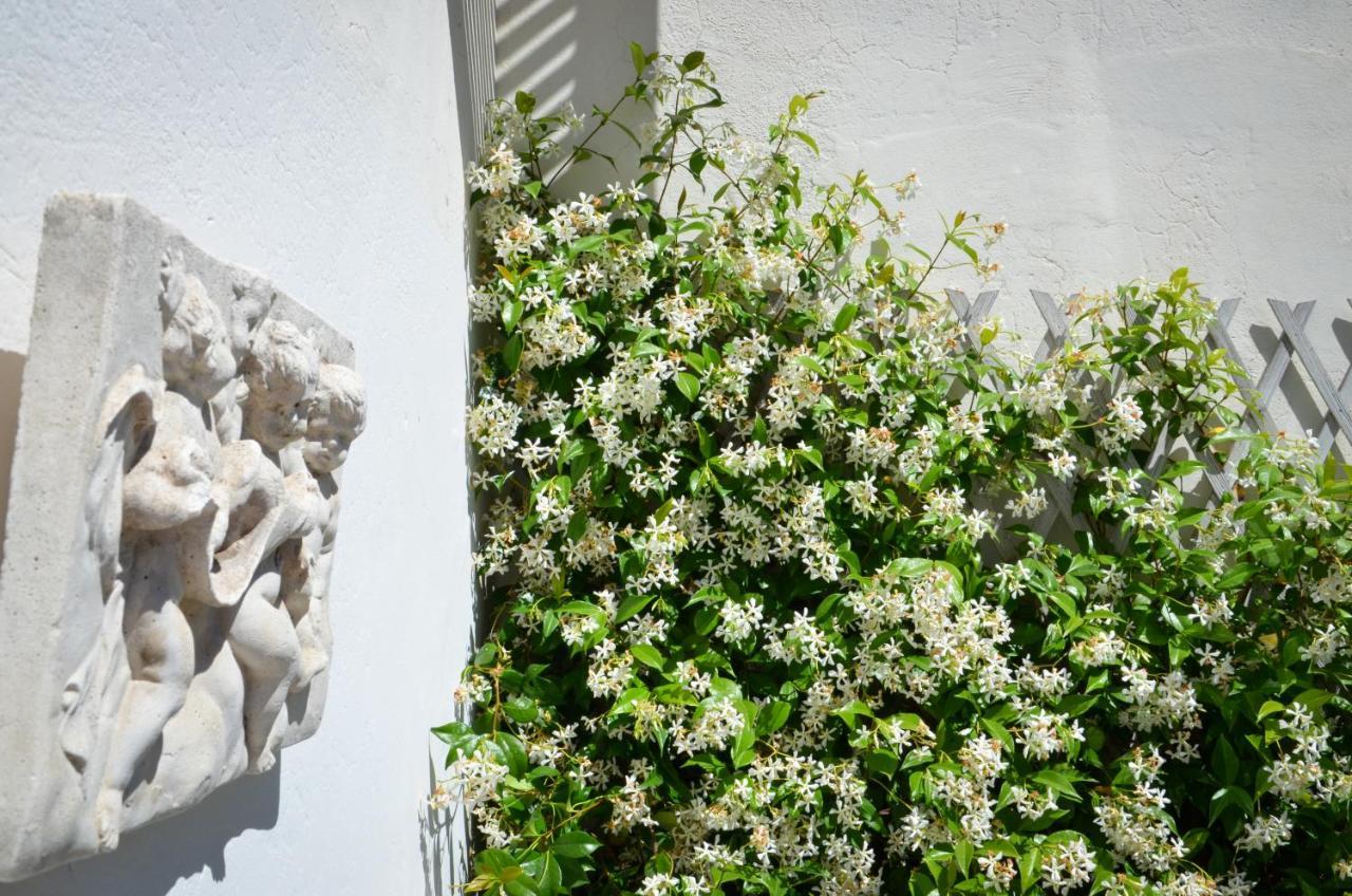 Apartamento Luxury Pantheon *