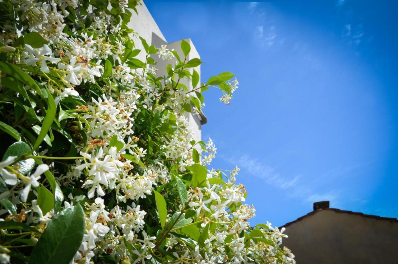 Luxury Pantheon Apartamento *