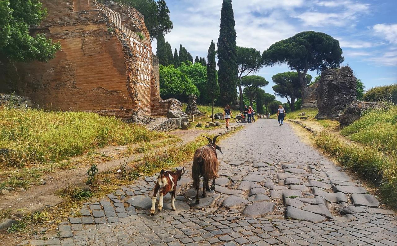 Casa Katiuscia Сasa de vacaciones Roma