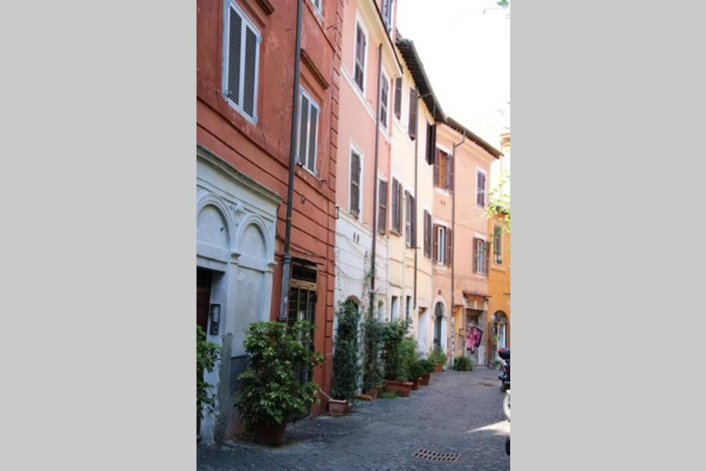 Cedro Apartamento Roma