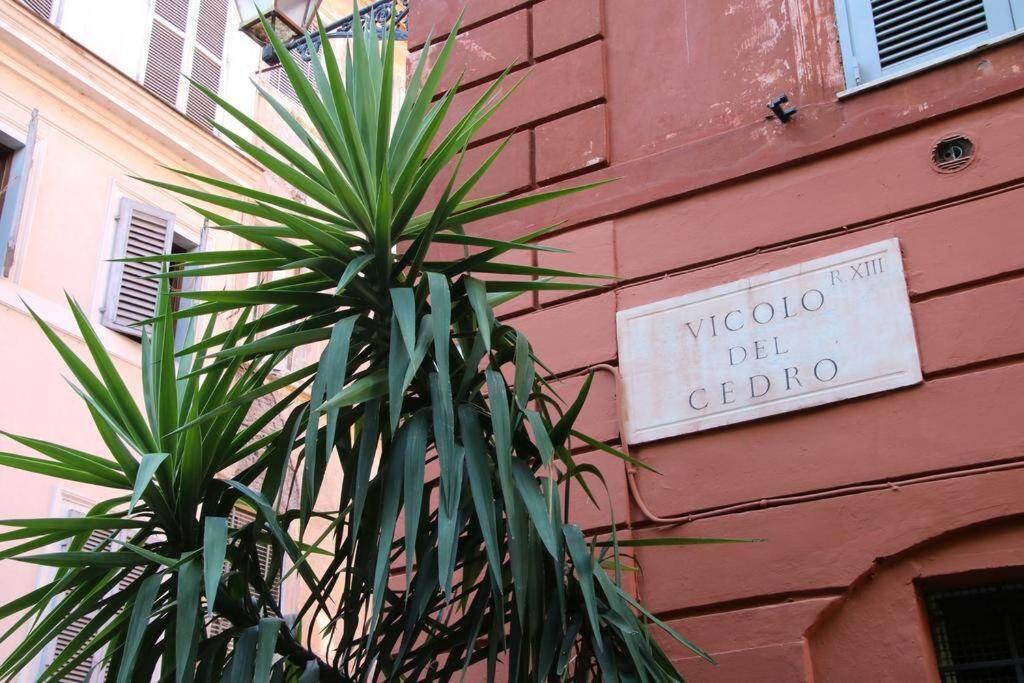 Apartamento Cedro Roma