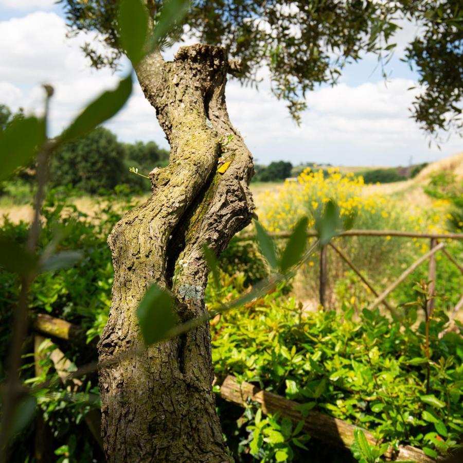 Tenuta Capizucchi Apartahotel Roma