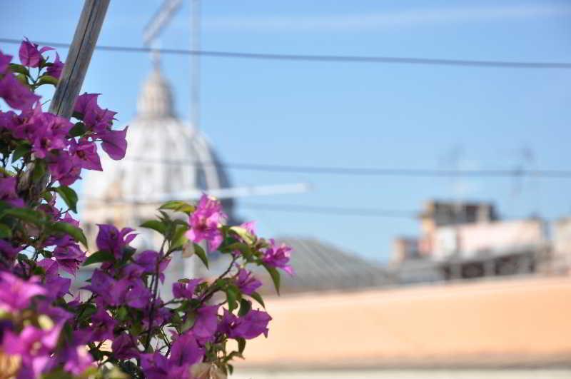Le Di Via Ottaviano - In 2*
