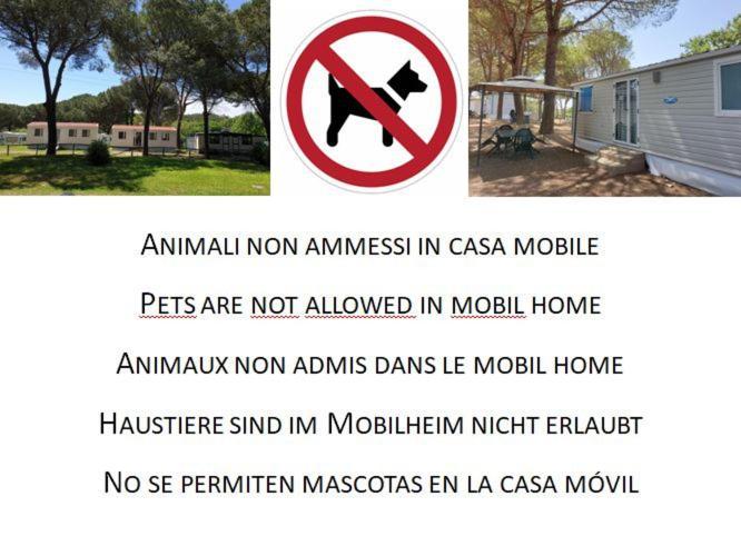 Aurelia Club 3*