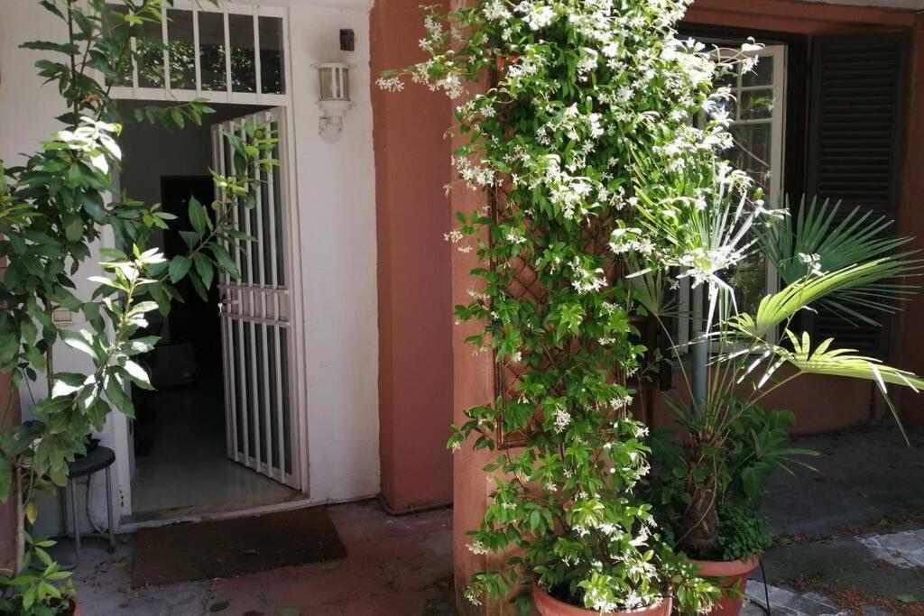 La Casa Della Mia Famiglia * Roma