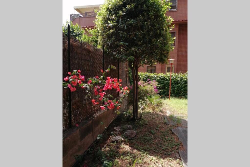 Apartamento La Casa Della Mia Famiglia Roma