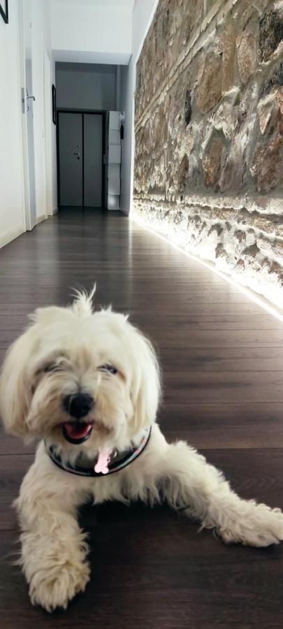 Ema Flat In Trastevere