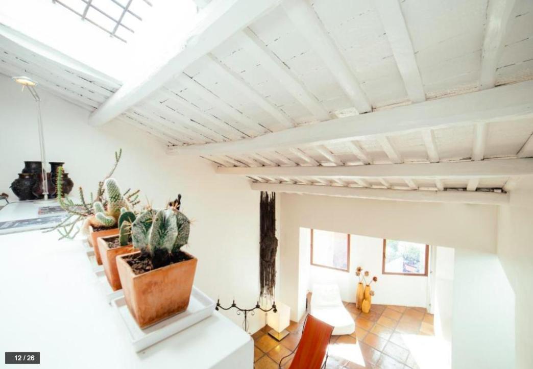 Luxury Art In Trastevere With Terrace Roma