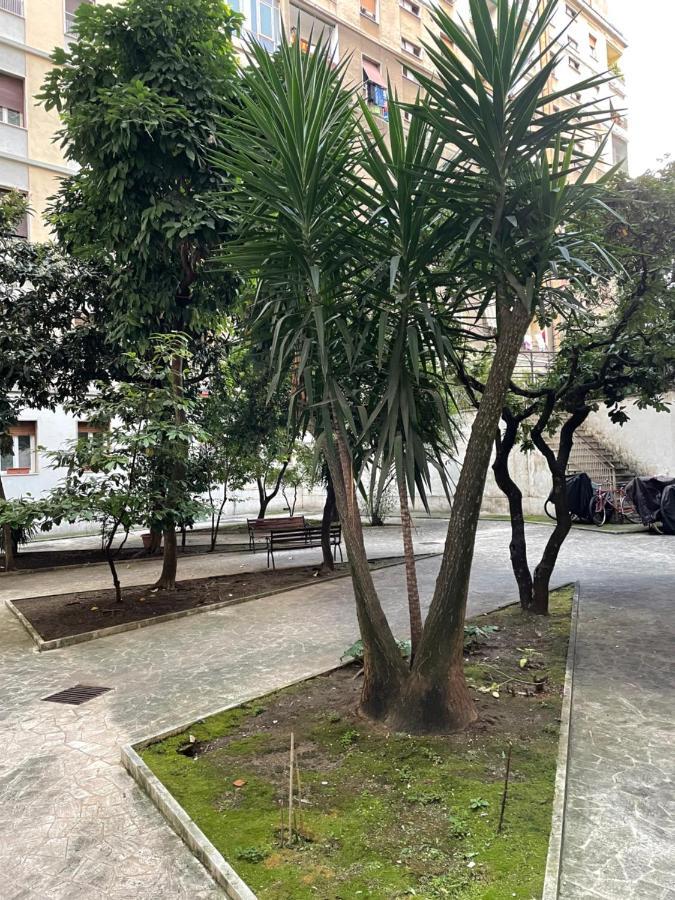 Casavalentina * Roma