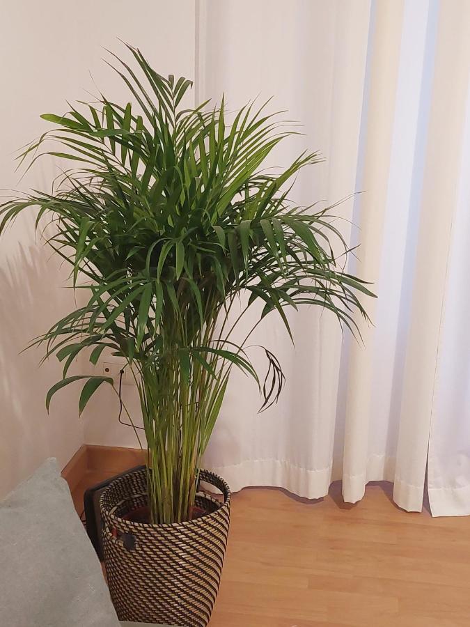Apartamento Conte Rosso *