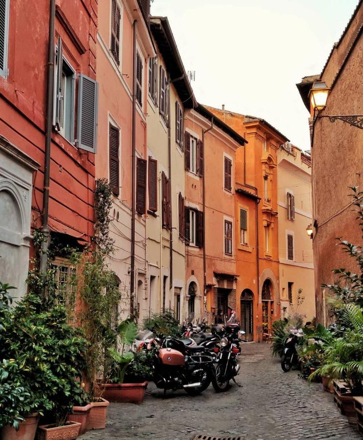 Apartment Cozy House - Gemelli *