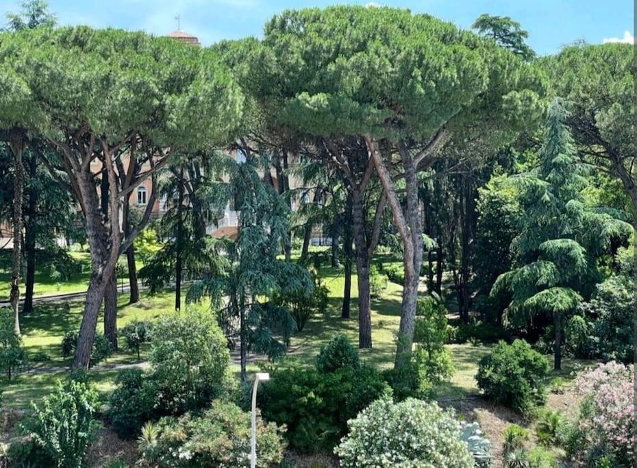 Casavalentina Affittacamere Roma