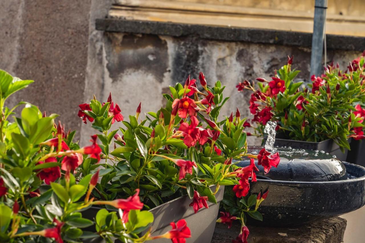 Ag Spanish Steps Terrace Leilighet