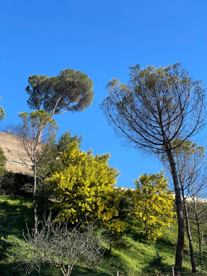 Apartment Vatican Holidays House Rome