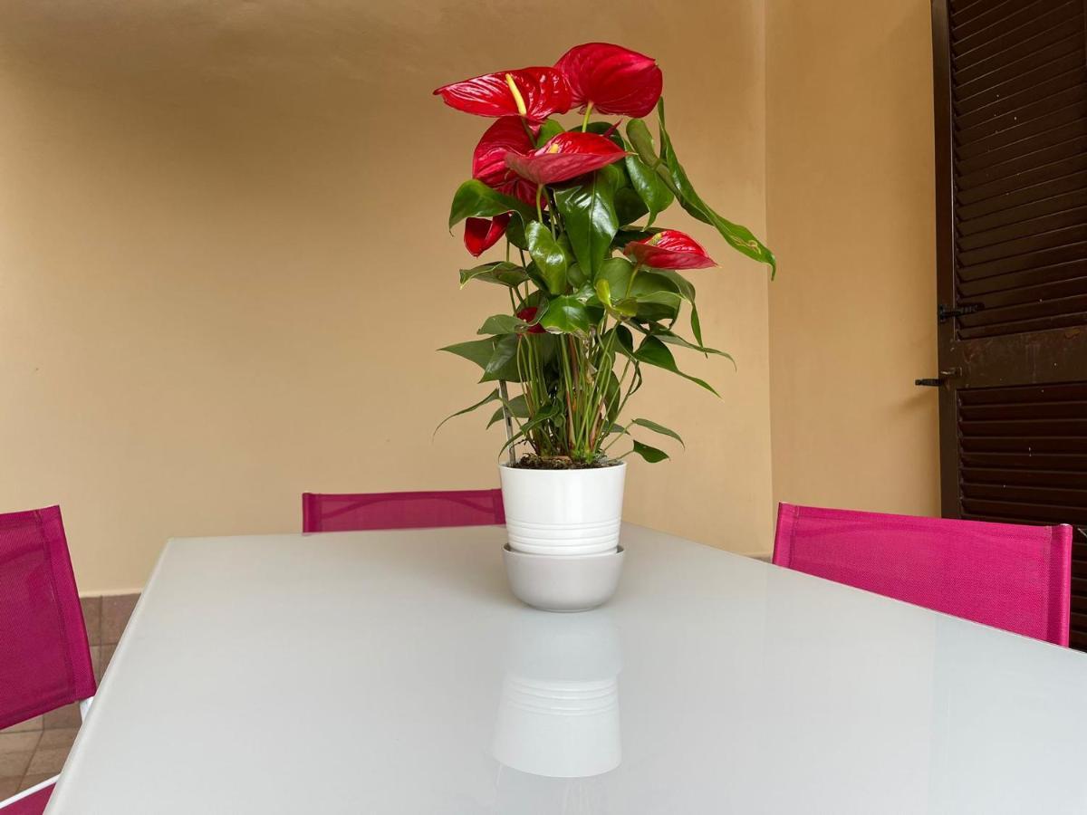 Flowers In Apartamento