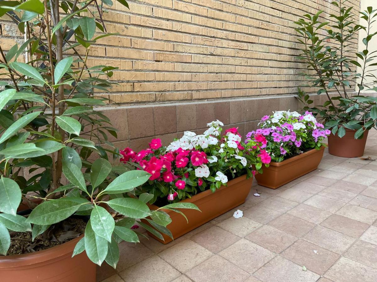 Flowers In Roma