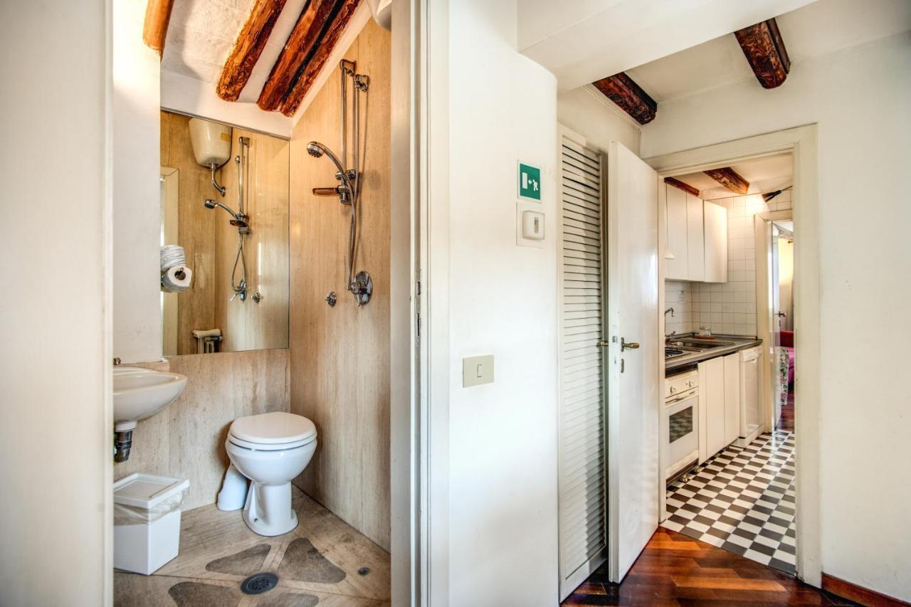 Lovely Attic With Private Terrace By Piazza Navona Leilighet *